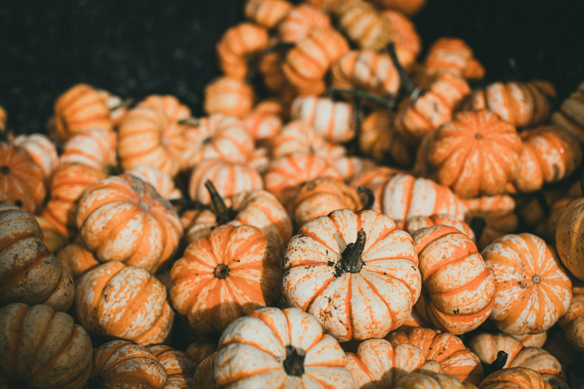 stack of pumpkins